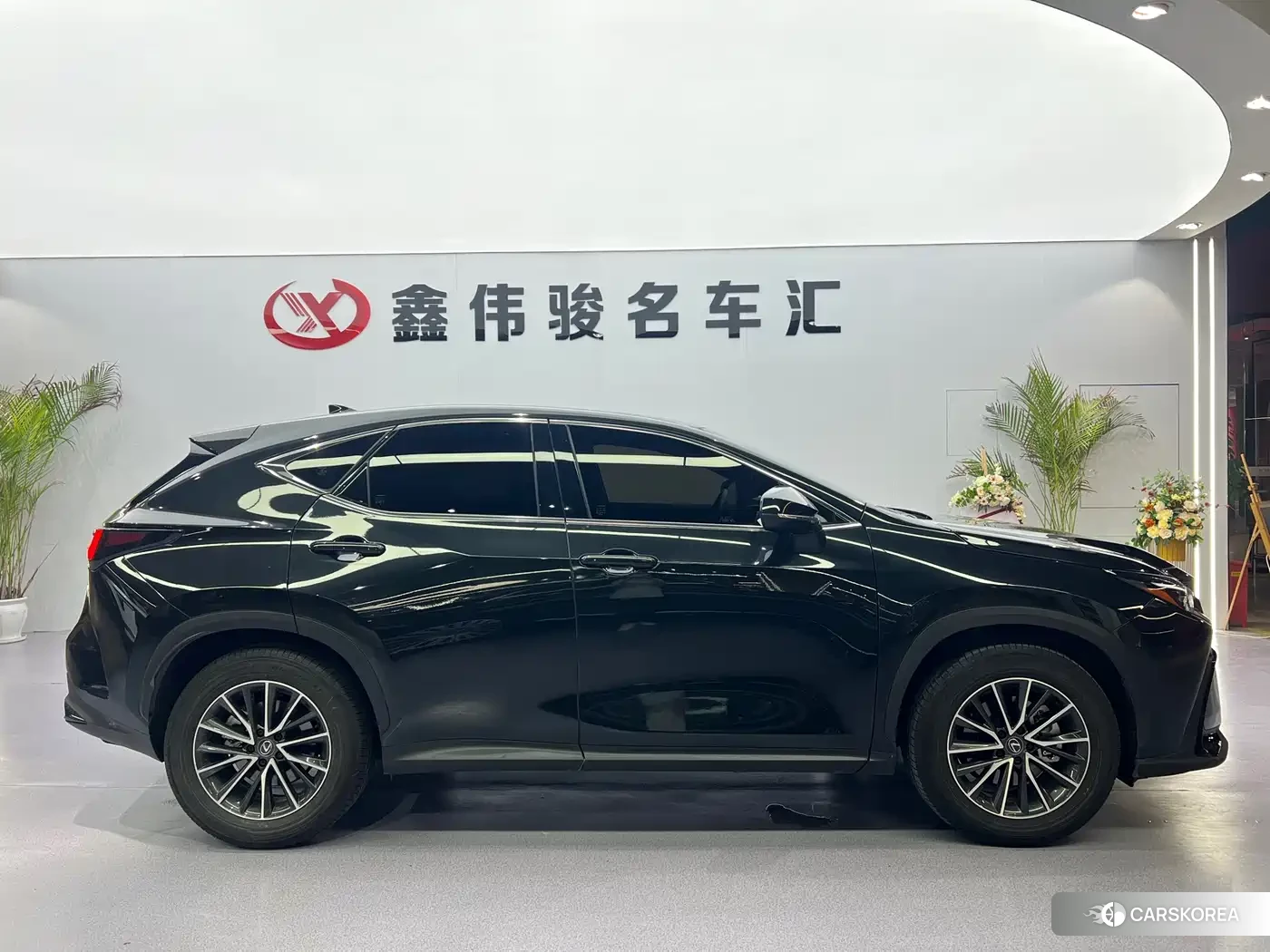 Lexus NX id 4546031 из Китая 12