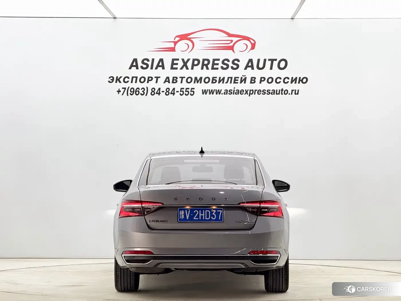 Skoda Speed pie id 4565177 из Китая 15