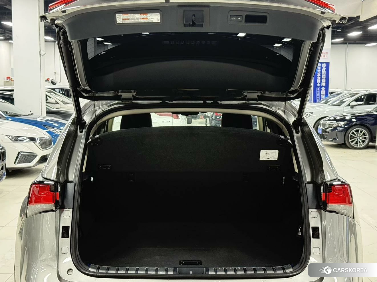 Lexus NX id 4513595 из Китая 14