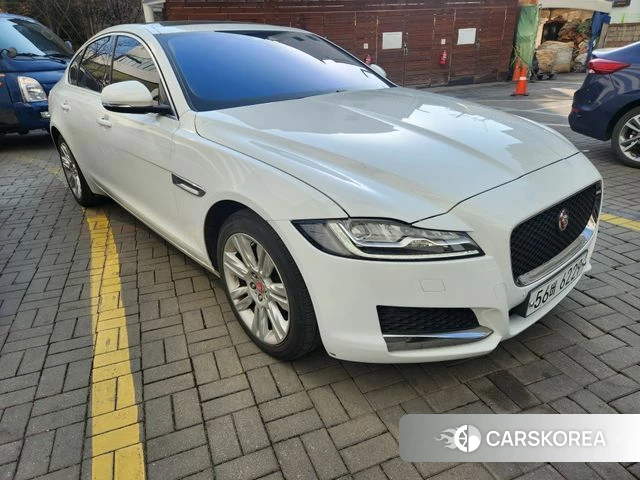 Jaguar XF (X260) 2018 Белый из Кореи, фото 4