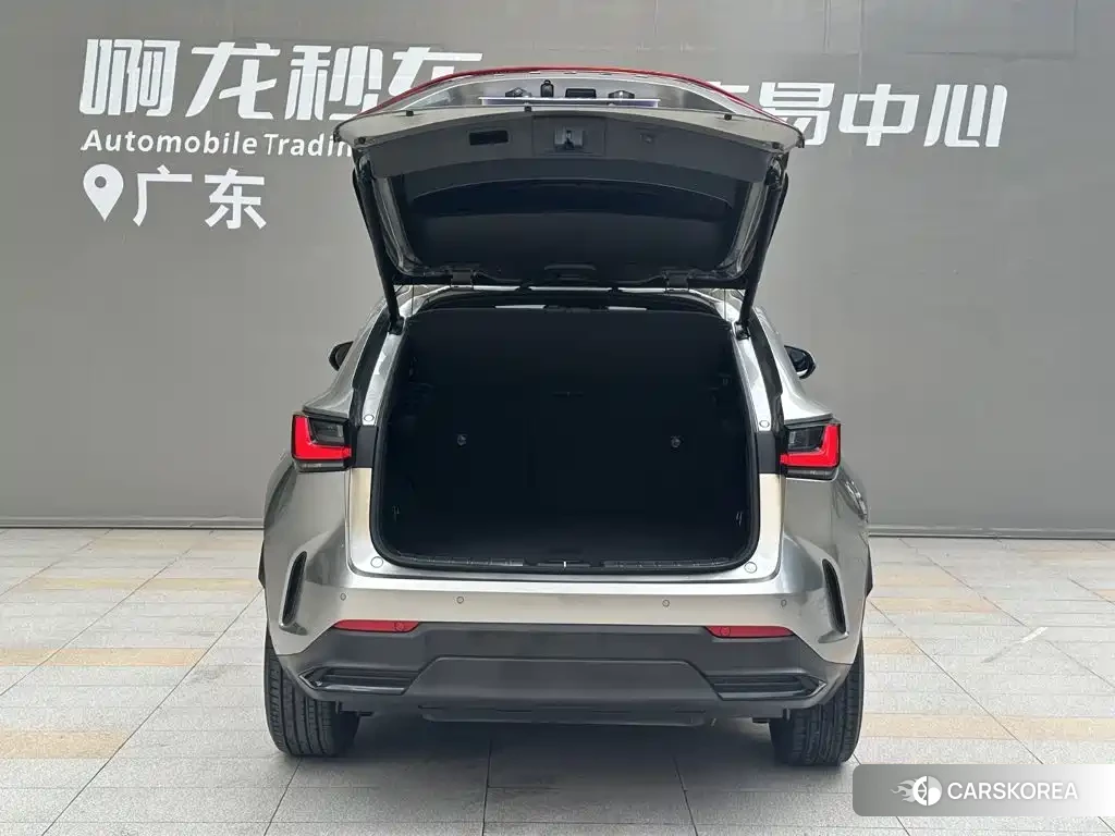Lexus NX 2024 Silver/gray из Китая, фото 6