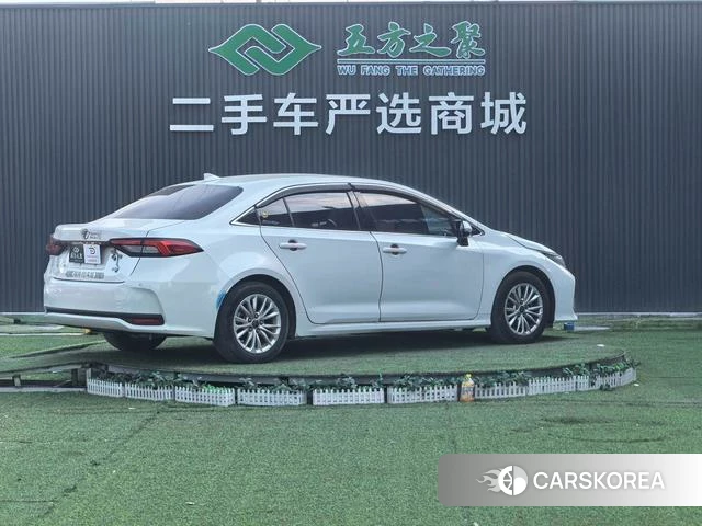 Toyota Asian lion id 4258694 из Китая 13