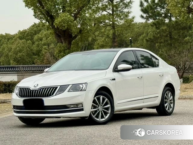 Skoda Octavia id 4238327 из Китая 23