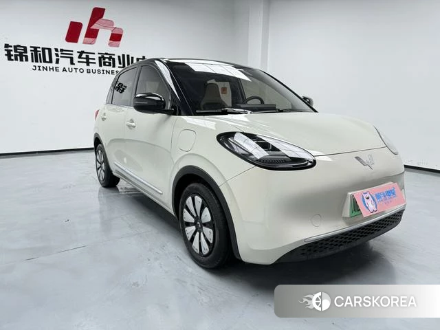 Wuling Automobile Wuling Bingguo id 4216948 из Китая 18