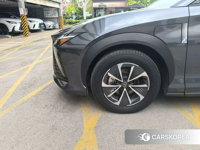 Lexus RZ 2023 Темно-серый из Китая, фото 4