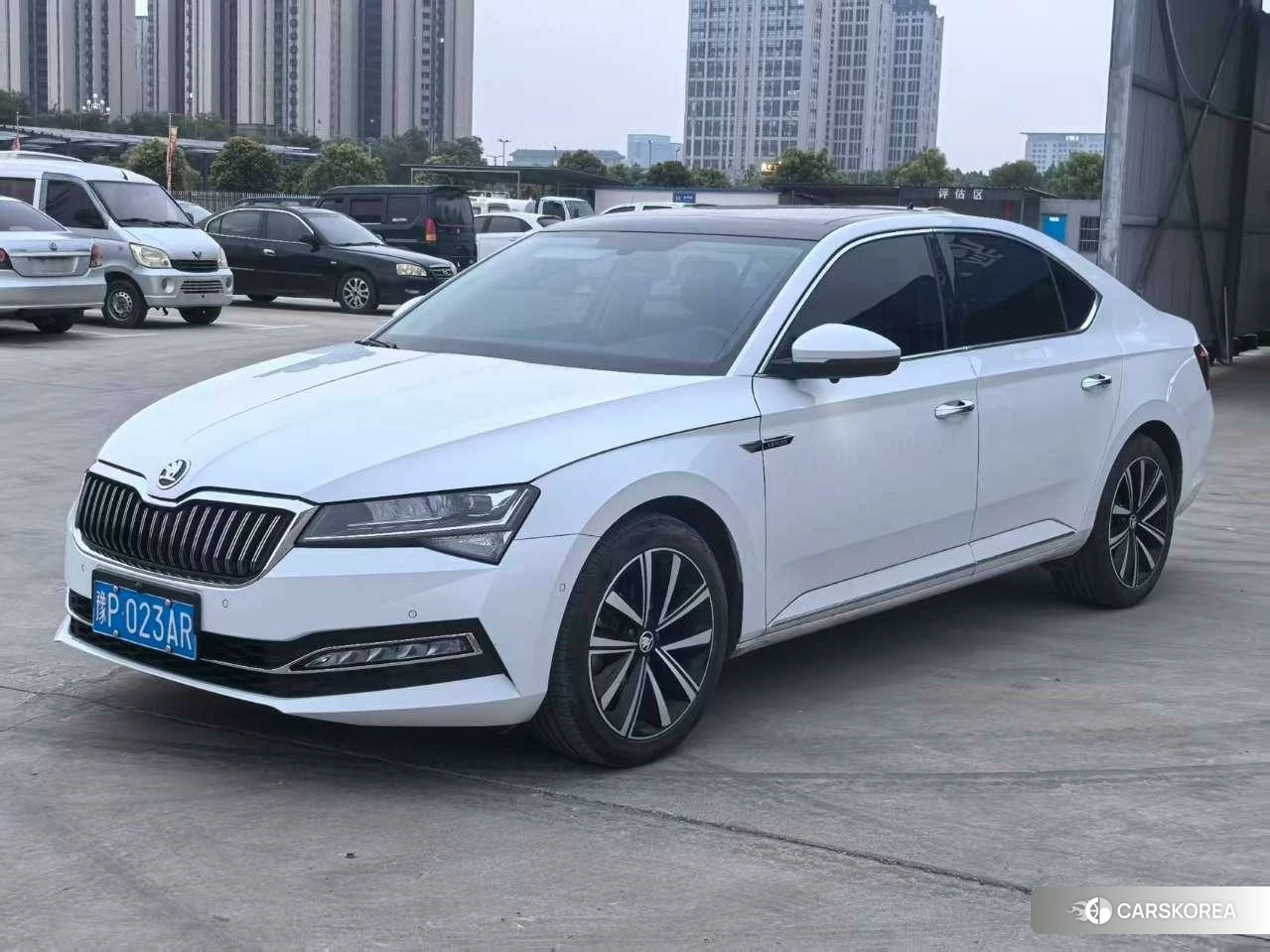 Skoda Speed pie 2023 Белый из Китая, фото 3