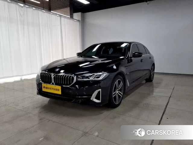 BMW 5 series PHEV id 4273307 из Китая 13