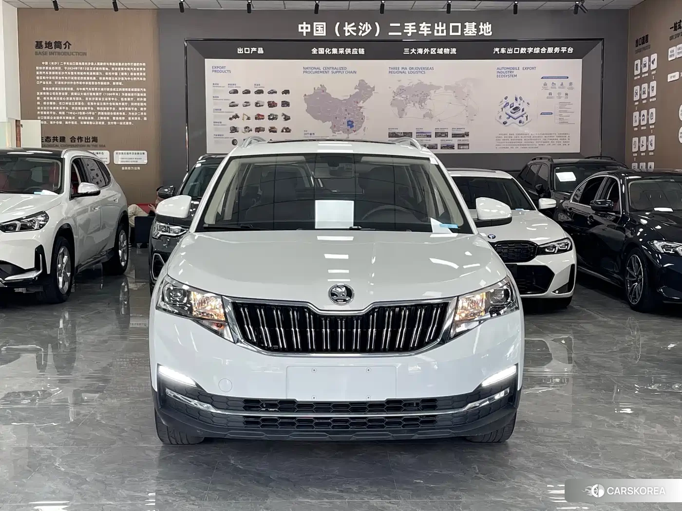 Skoda Kamiq id 4680660 из Китая 9