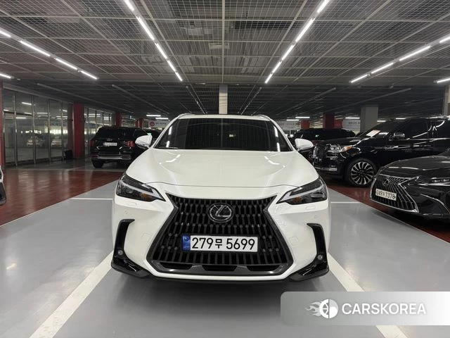 Lexus NX350h Second generation 2025 Белый из Кореи, фото 6