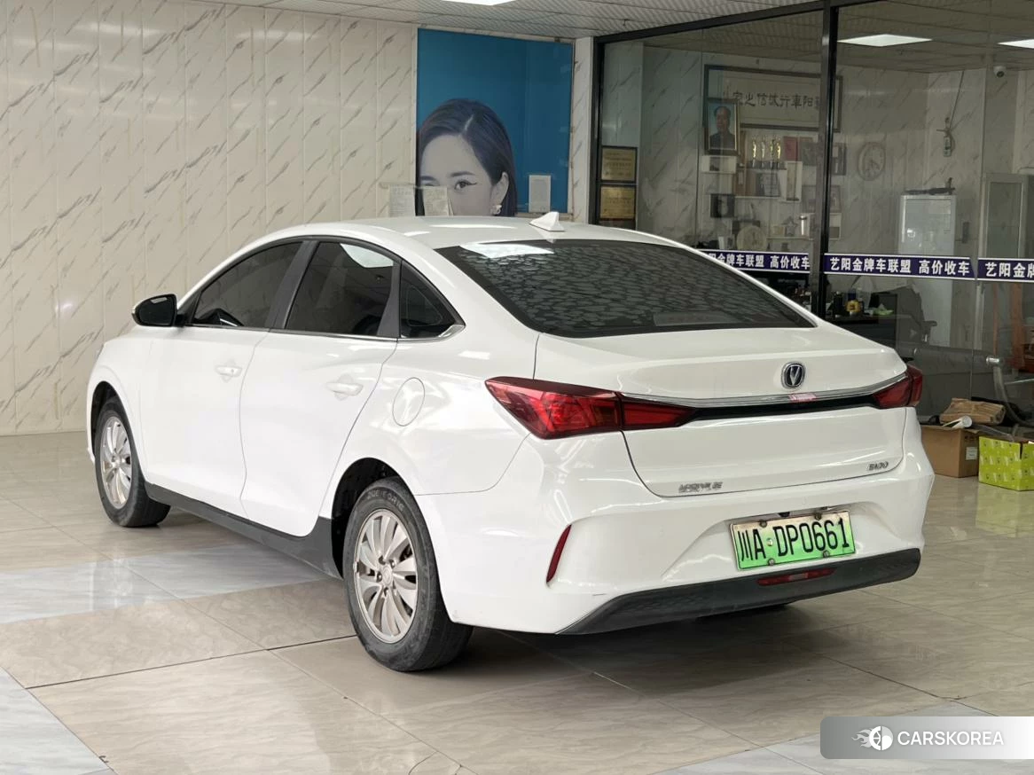 Chang'an Yidong EV 2018 Белый из Китая, фото 3