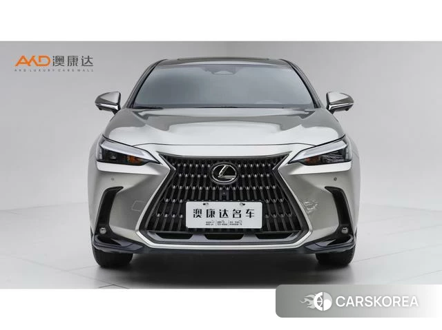 Lexus NX PHEV 2024 Темно-серый из Китая, фото 3