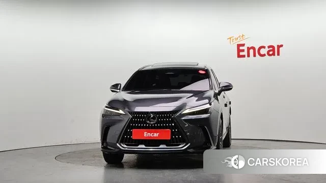 Lexus NX450h + 2nd generation id 3591482 из Кореи 13