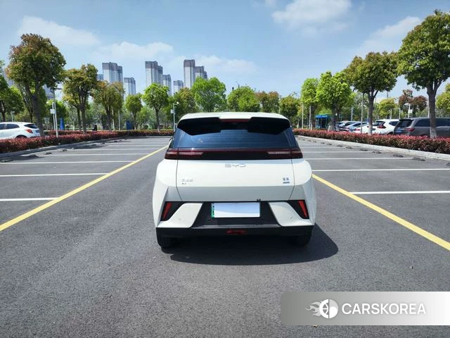 BYD Seagull id 4241617 из Китая 10
