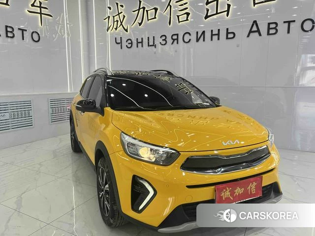 Kia Yi Ran id 4263212 из Китая 14