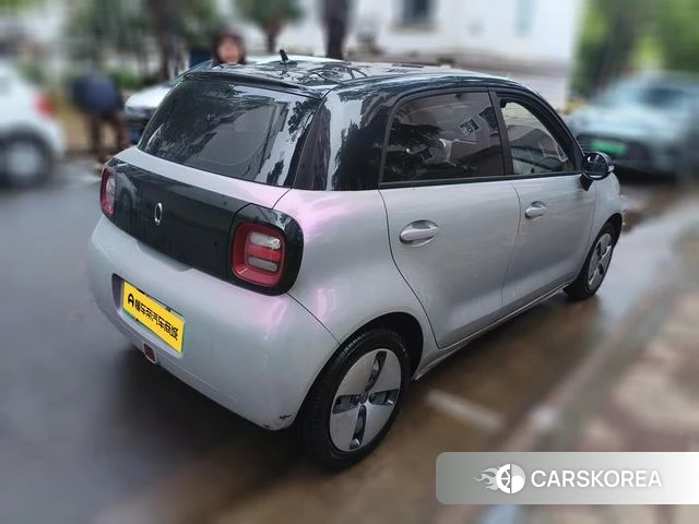 Euler Black cat 2019 Белый из Китая, фото 3
