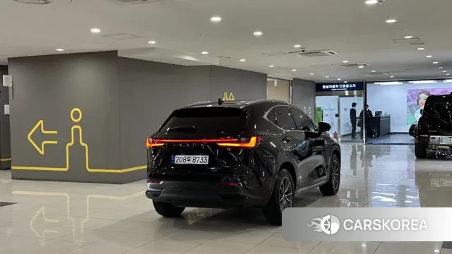 Lexus NX450h + 2nd generation id 3644496 из Кореи 13