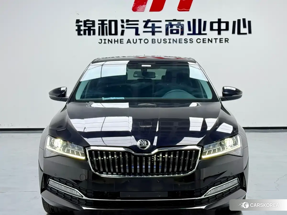 Skoda Speed pie id 4570400 из Китая 9