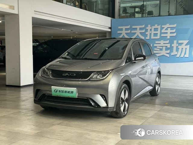 BYD dolphin 2023 Темно-серый из Китая, фото 3