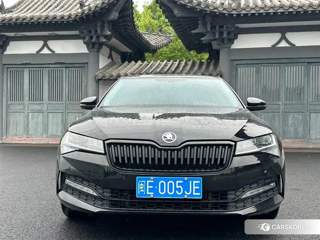 Skoda Speed pie id 4546418 из Китая 15