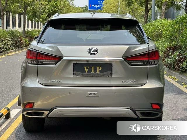 Lexus RX 2021 Серебристо-серый из Китая, фото 6