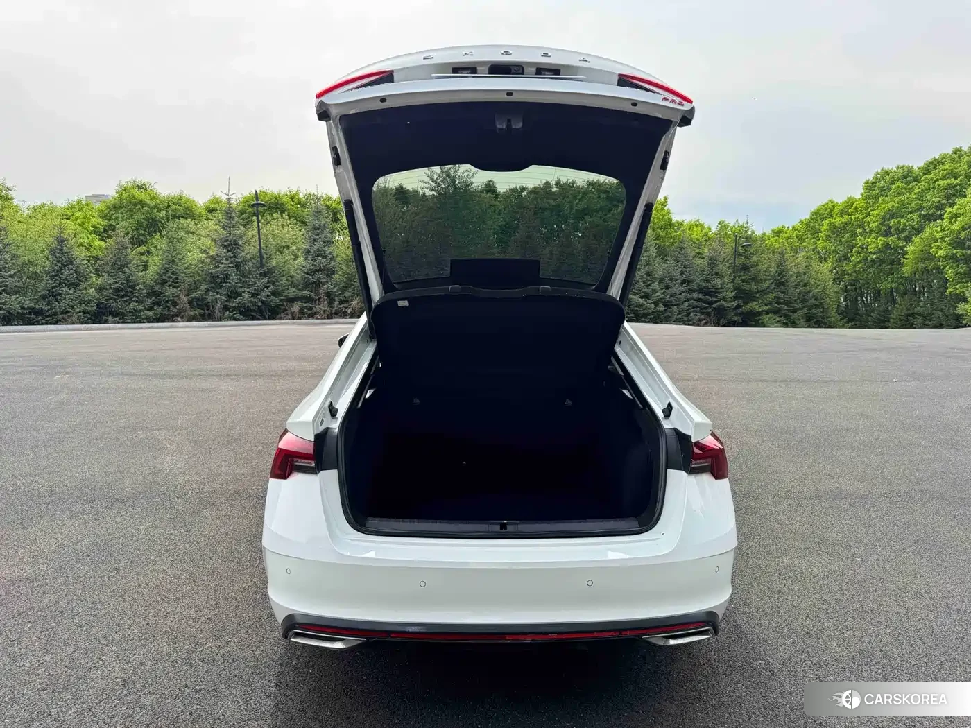 Skoda Octavia id 4622290 из Китая 16