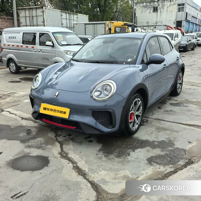 Euler Good cat GT 2023 Темно-серый из Китая, фото 3