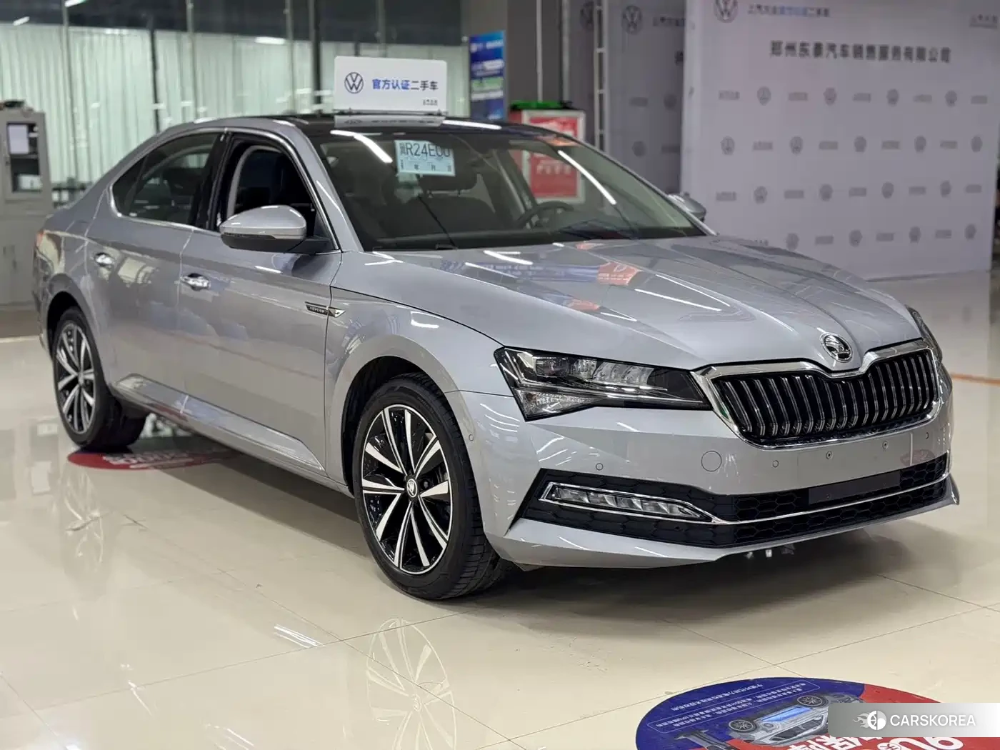 Skoda Speed pie 2025 Silver/gray из Китая, фото 6