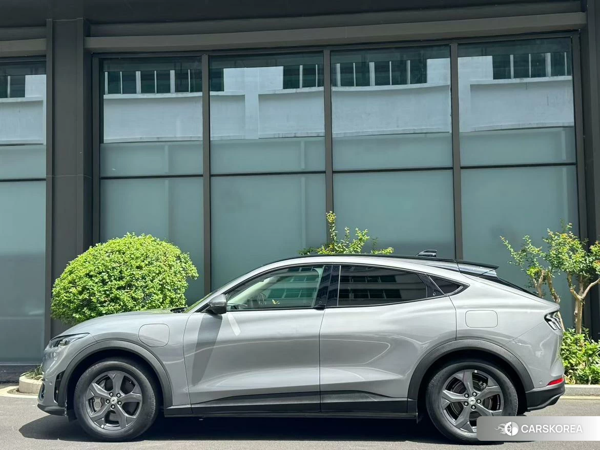 Ford Electric horse 2021 Темно-серый из Китая, фото 3