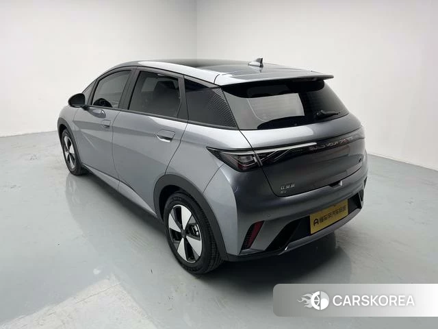 BYD dolphin id 4236414 из Китая 13