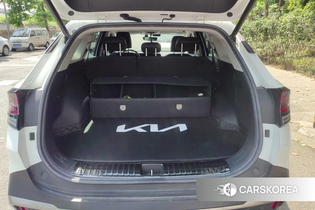 Kia Lion Platinum expands the world id 4262402 из Китая 10