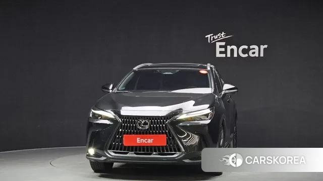 Lexus NX450h + 2nd generation id 3685135 из Кореи 13