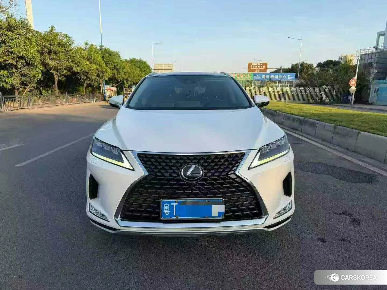 Lexus RX 2020 Белый из Китая, фото 3