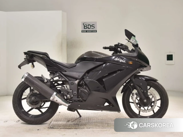 Kawasaki NINJA 250R 2011 из Японии, фото 2