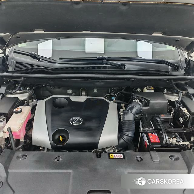 Lexus NX id 4236383 из Китая 11