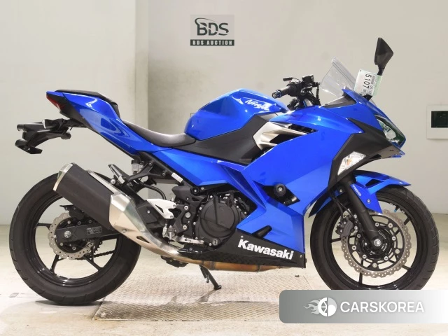 Kawasaki NINJA 250 2018 из Японии, фото 2