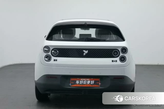 firefly firefly Unknown id 3857989 из Китая 17