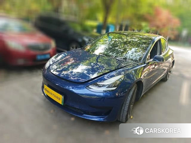Tesla Model 3 2020 Синий из Китая, фото 3