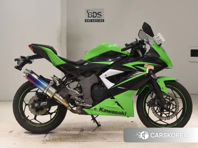 Kawasaki NINJA 250SL 2015 из Японии