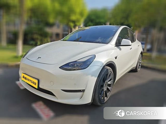 Tesla Model Y 2021 Белый из Китая, фото 3