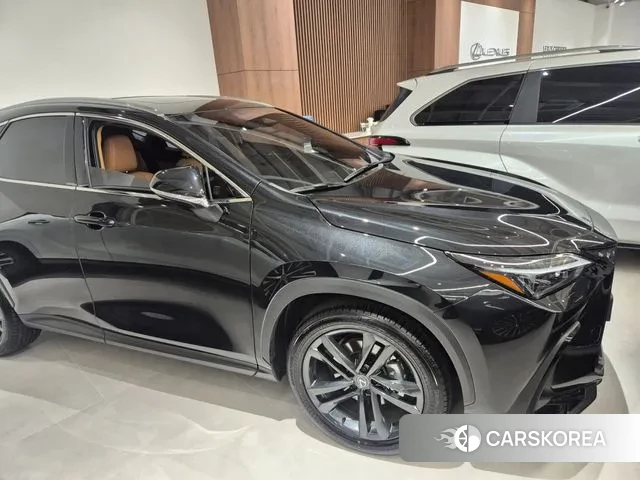 Lexus NX350h Second generation 2025 Жемчужный цвет из Кореи, фото 4