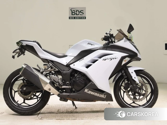 Kawasaki NINJA 300 2013 из Японии, фото 2