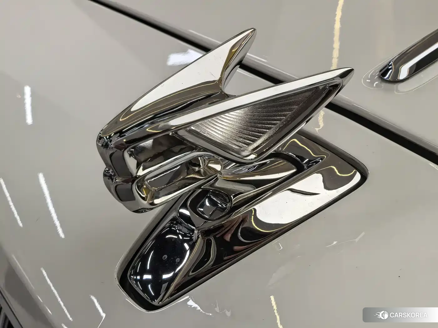 Bentley Flying id 4578329 из Китая 22