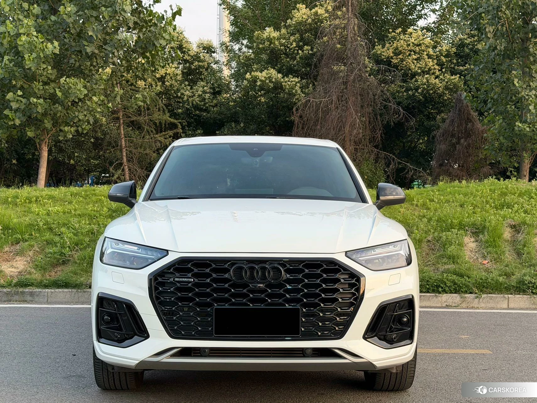 Audi Q5L Sportback id 4452607 из Китая 11
