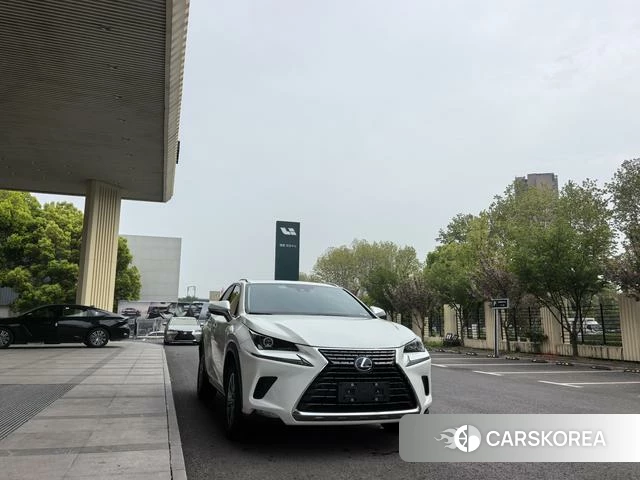 Lexus NX id 4262252 из Китая 10