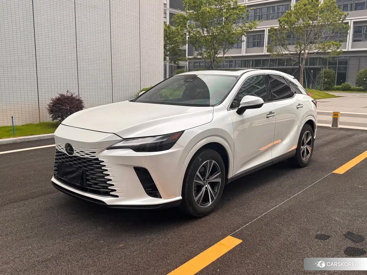 Lexus RX 2025 Белый из Китая, фото 3