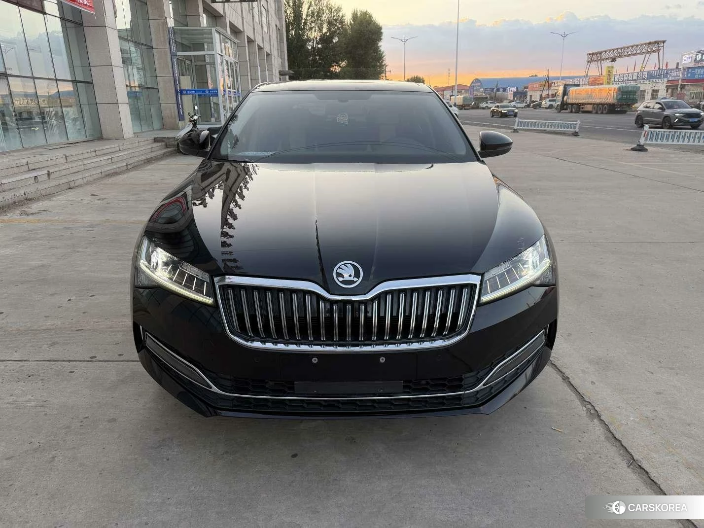 Skoda Speed pie 2023 Черный из Китая, фото 4