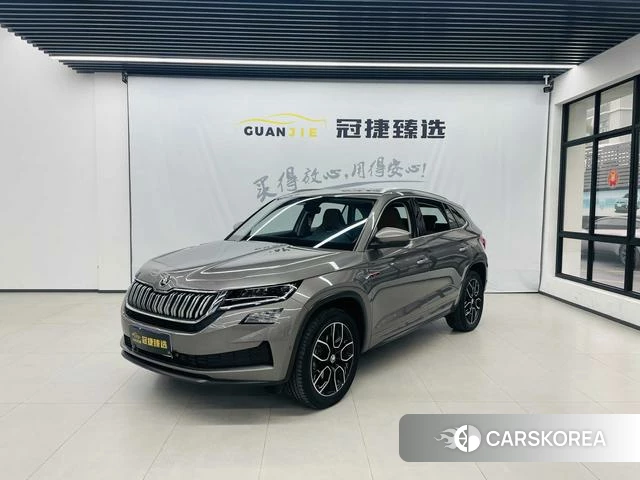 Skoda Kodiak GT id 4211077 из Китая 10