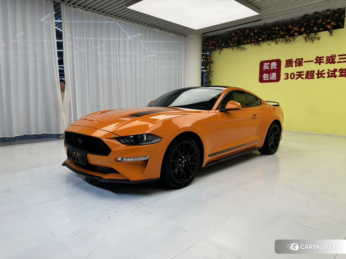 Ford Mustang id 4440367 из Китая 9