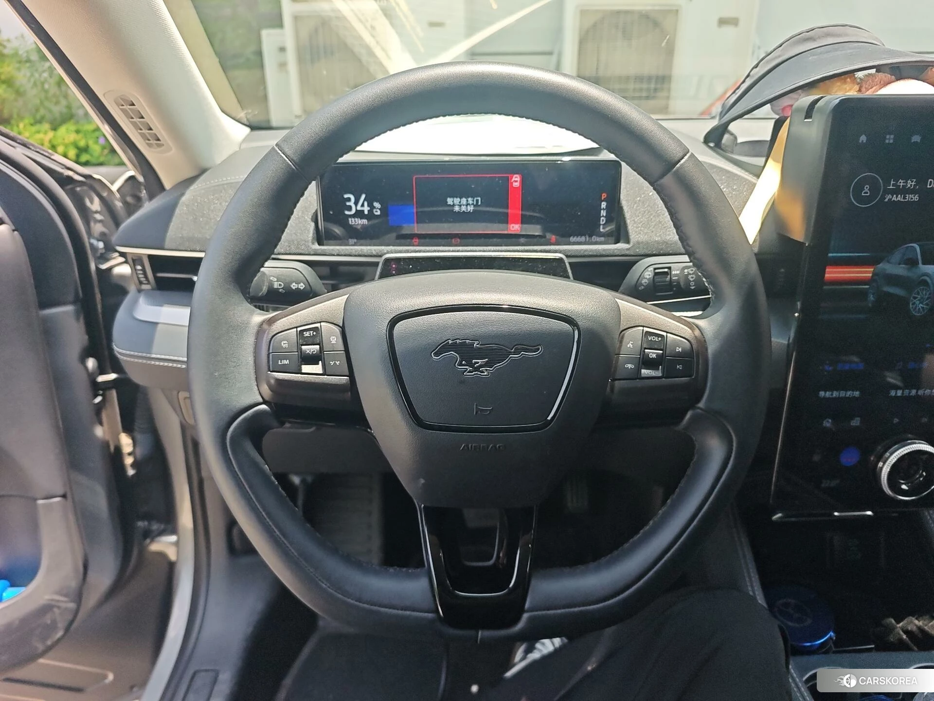 Ford Electric horse id 4514003 из Китая 14