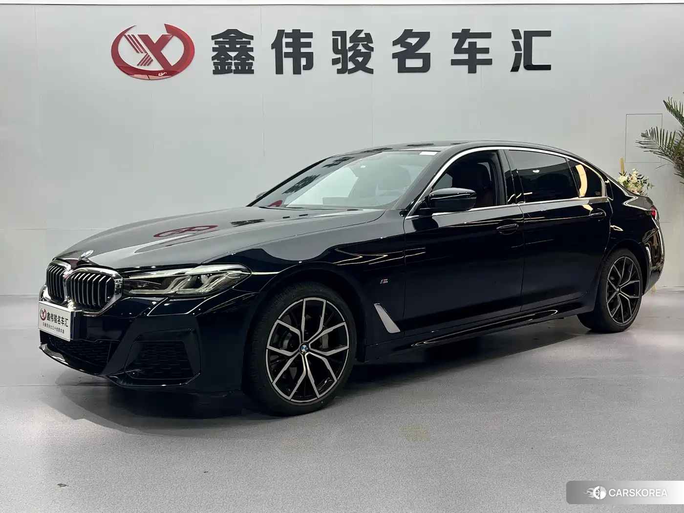 BMW 5 series id 4546454 из Китая 12